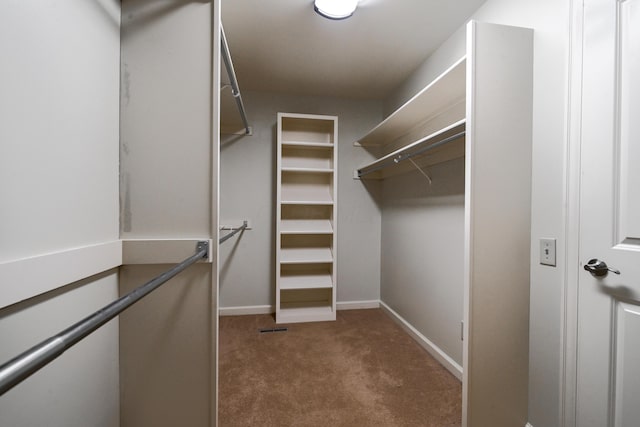 spacious closet featuring carpet