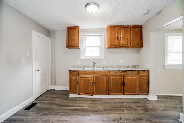 kitchen with plenty of natural light, dark hardwood / wood-style floors, and sink