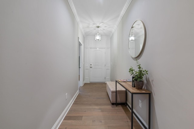 hall featuring hardwood / wood-style floors and crown molding