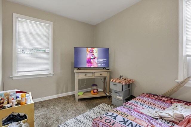 bedroom featuring carpet