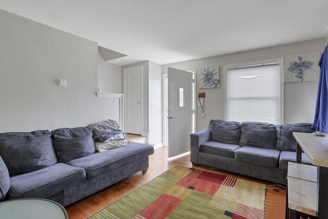 living room featuring hardwood / wood-style floors