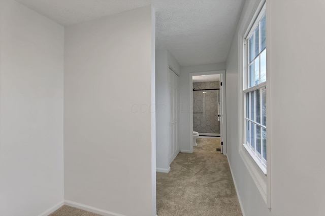 hall with a textured ceiling, light colored carpet, and a wealth of natural light