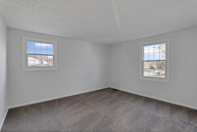 spare room with carpet and a textured ceiling