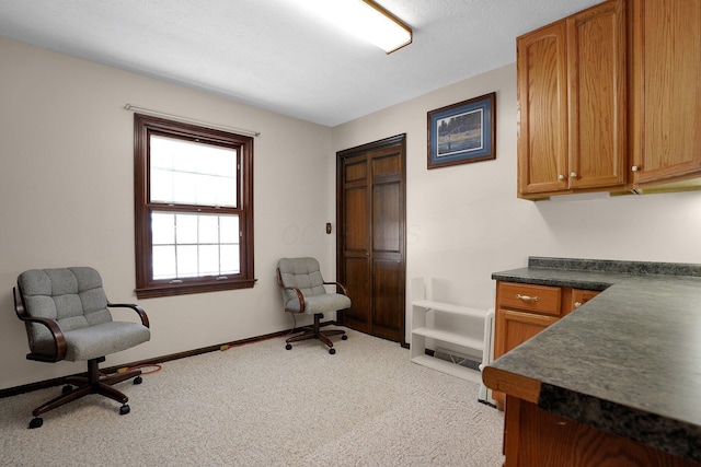 interior space featuring light colored carpet