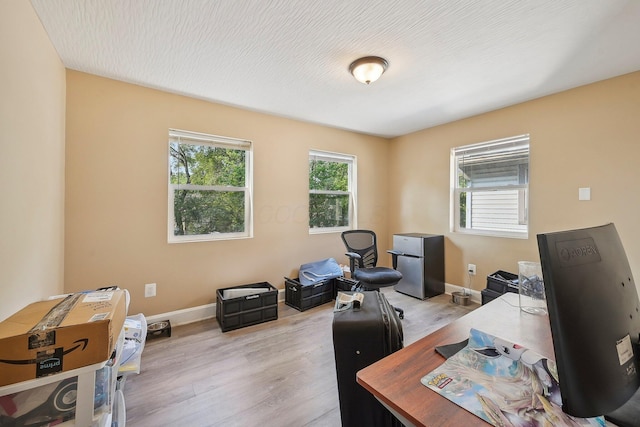 office featuring light hardwood / wood-style floors