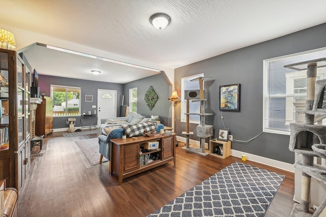 living room featuring dark wood-type flooring