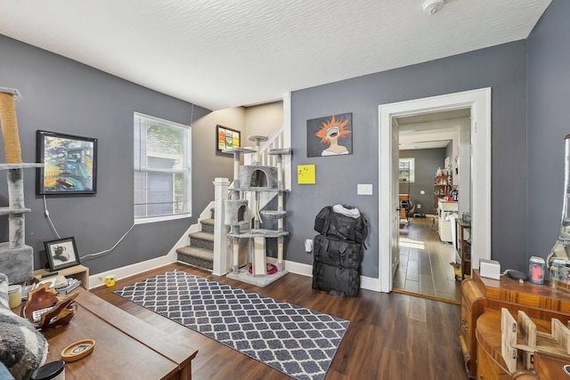 interior space with dark hardwood / wood-style floors