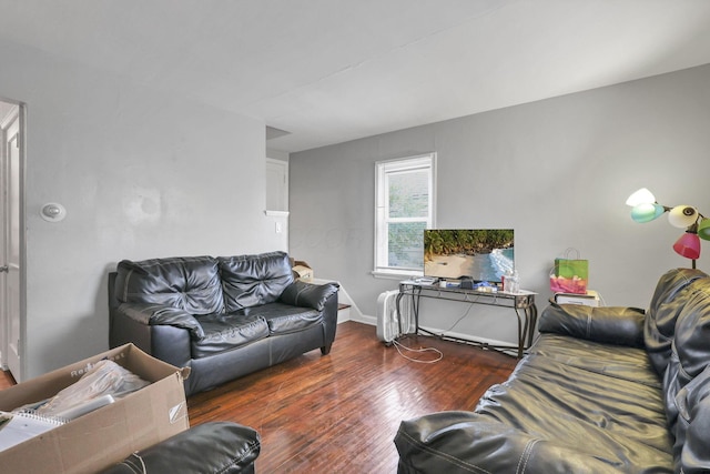 living room featuring dark hardwood / wood-style flooring