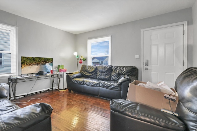 living room with dark hardwood / wood-style flooring