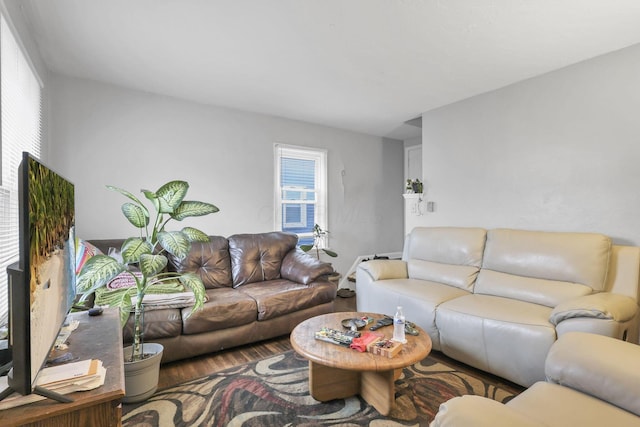 living room with wood-type flooring and a wealth of natural light