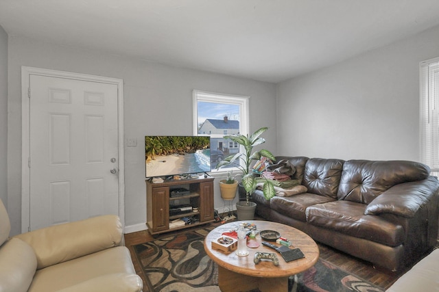 living room featuring dark hardwood / wood-style flooring