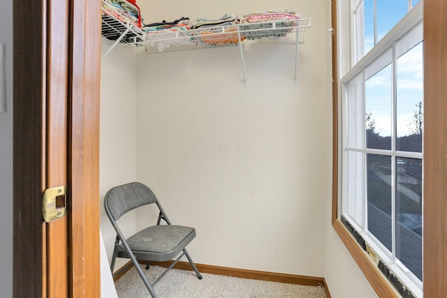 spacious closet featuring carpet