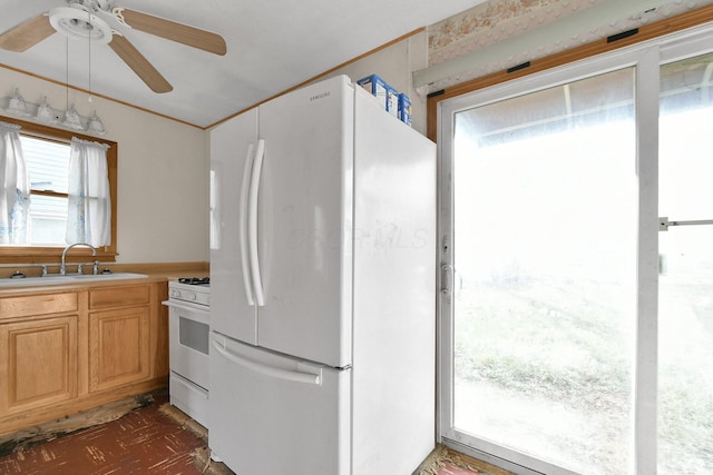 kitchen with ceiling fan, sink, and white appliances