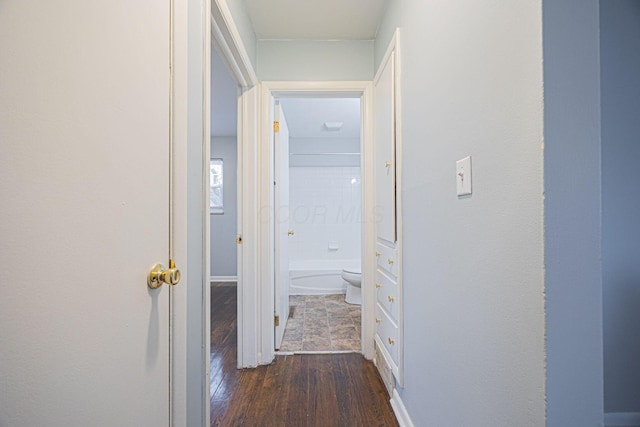 hall featuring dark hardwood / wood-style floors