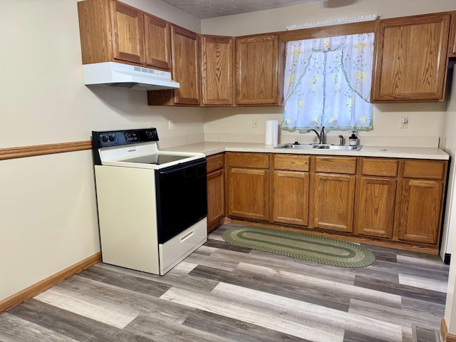 kitchen with wood-type flooring, sink, a textured ceiling, and electric stove