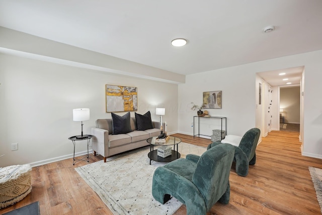 living room featuring wood-type flooring