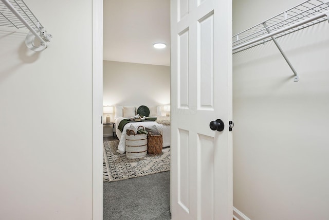 spacious closet with carpet