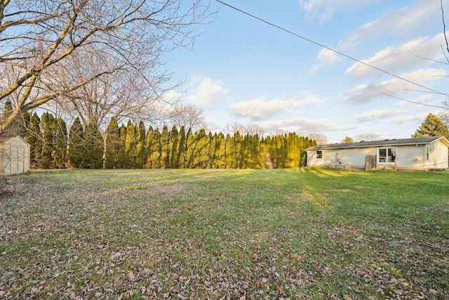 view of yard featuring a shed