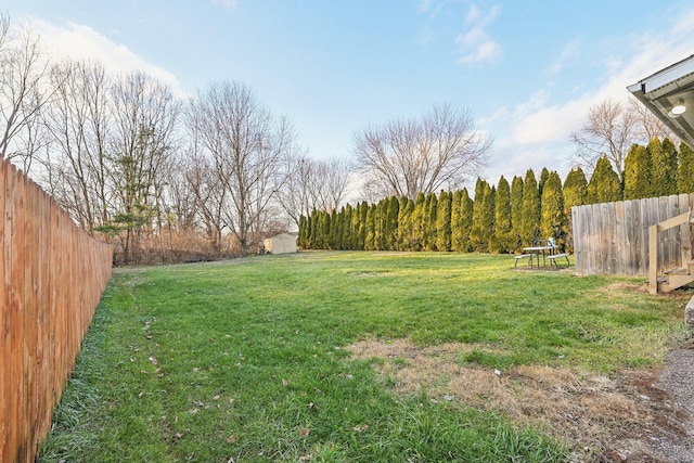 view of yard with a storage shed