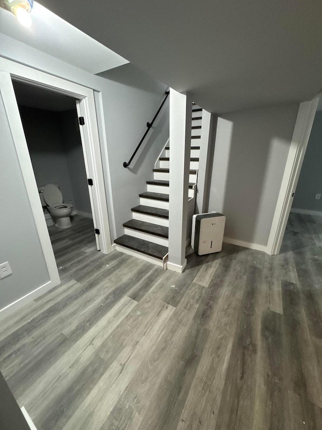 basement featuring hardwood / wood-style flooring