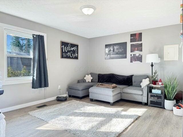 living room featuring hardwood / wood-style flooring