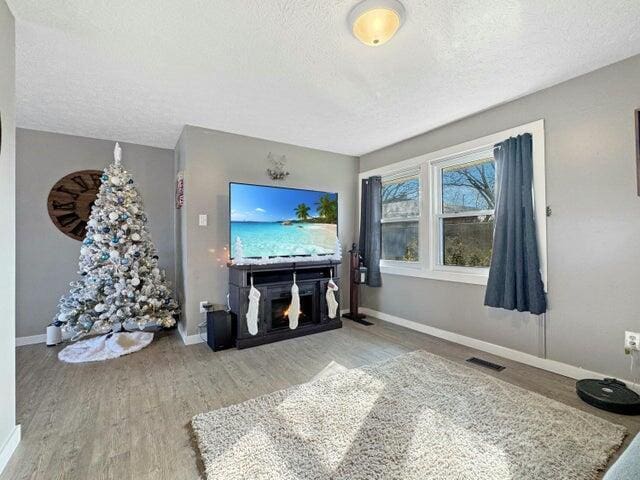 living room with a textured ceiling and hardwood / wood-style flooring