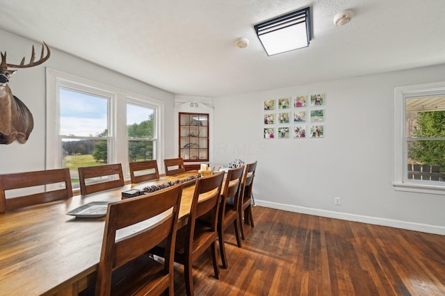 dining room with dark hardwood / wood-style floors