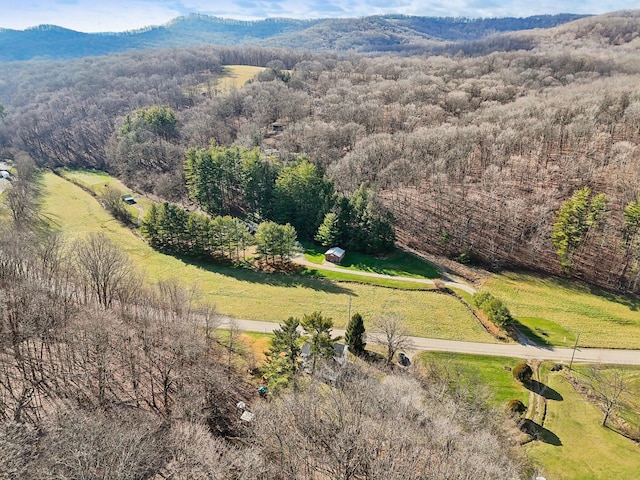 drone / aerial view with a mountain view