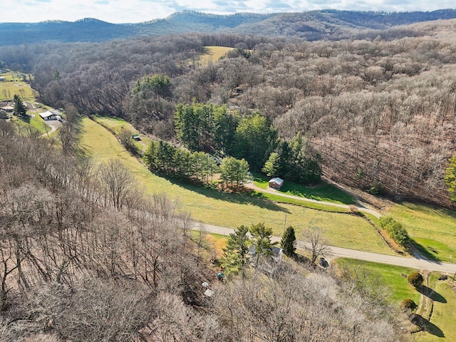 bird's eye view featuring a mountain view and a rural view