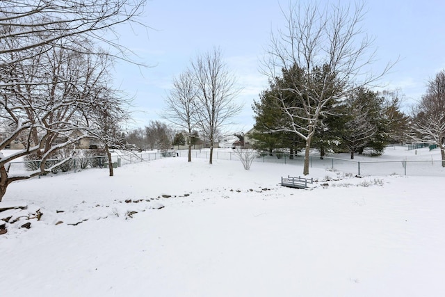 view of yard layered in snow