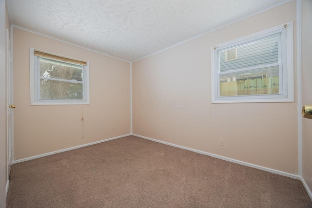 carpeted spare room featuring a textured ceiling