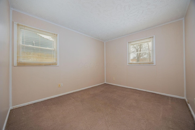 carpeted spare room with crown molding and a textured ceiling