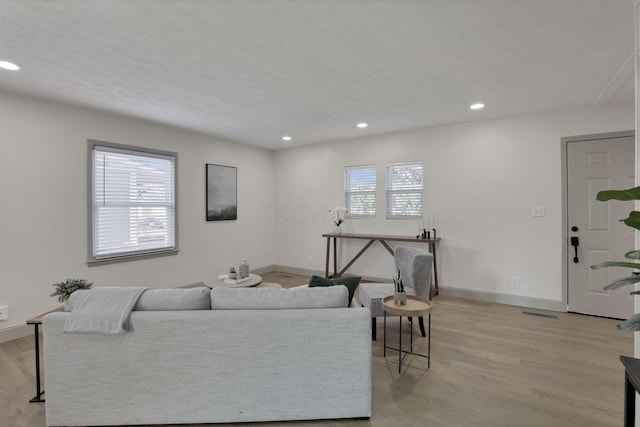 living room featuring light wood-type flooring and a healthy amount of sunlight