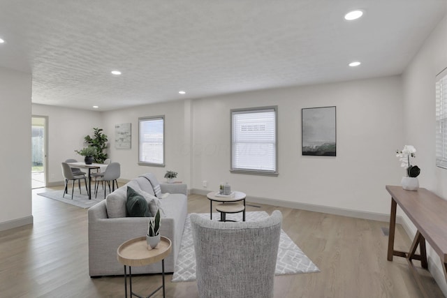 living room with light hardwood / wood-style flooring