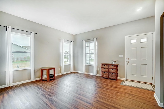 foyer entrance with wood-type flooring