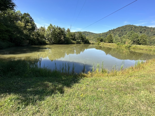 property view of water featuring a mountain view