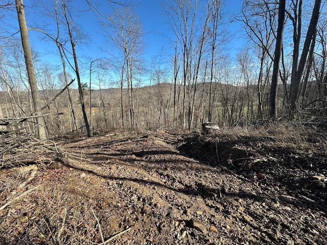 view of local wilderness