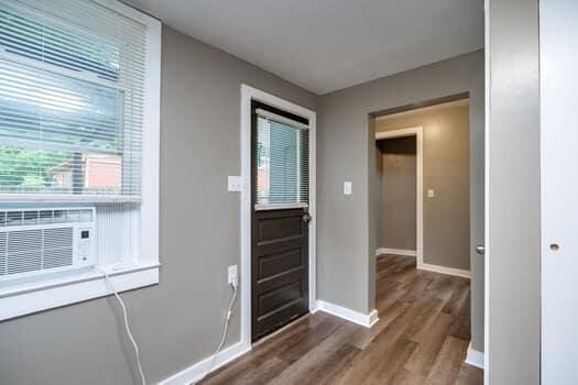 foyer entrance with dark hardwood / wood-style flooring