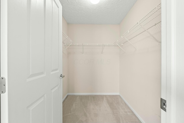 walk in closet with light carpet