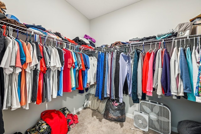 spacious closet featuring carpet