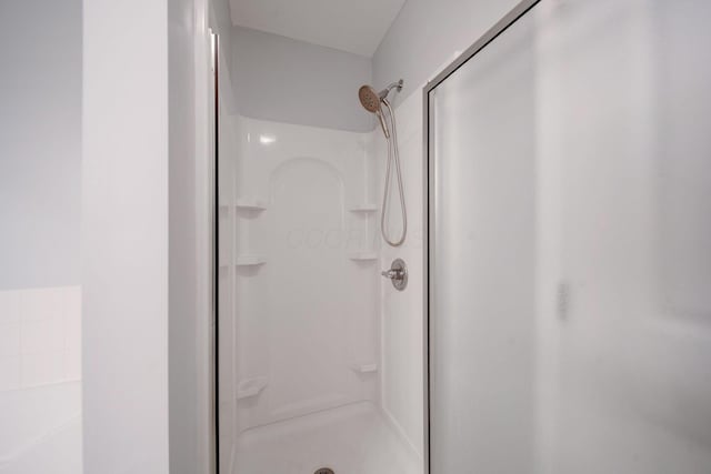 bathroom with a shower with shower door