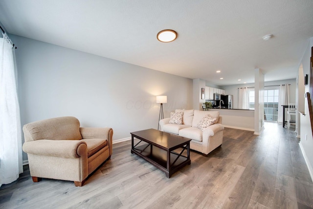 living room featuring light hardwood / wood-style flooring