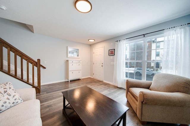 living room featuring wood-type flooring