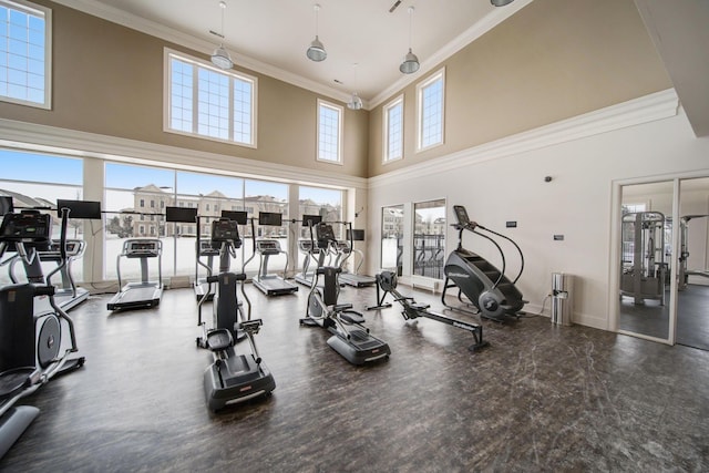 workout area with a towering ceiling and crown molding