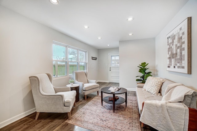 living room featuring hardwood / wood-style floors