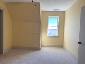 bonus room featuring light carpet