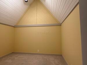 additional living space with carpet floors and lofted ceiling