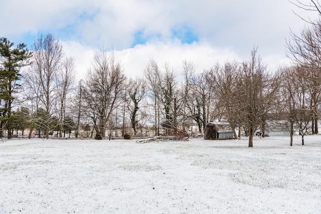 view of yard layered in snow