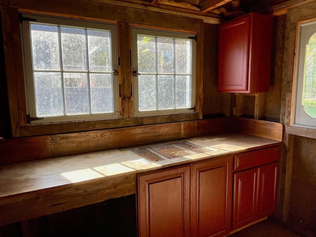 kitchen with plenty of natural light and wooden walls