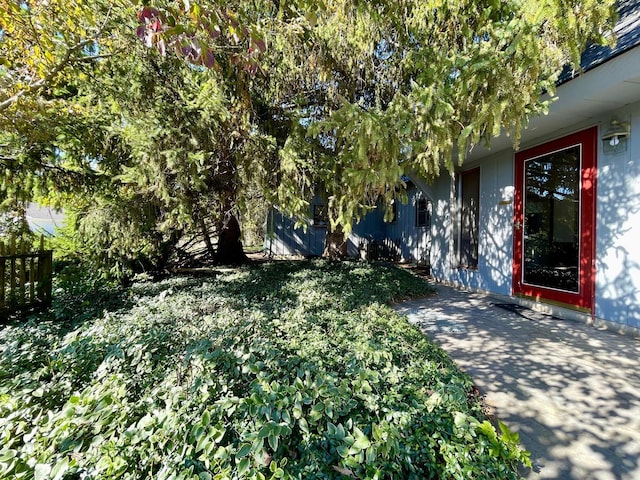 view of yard featuring a patio area